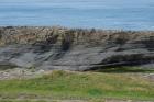 Ledge exposing the slumped Ross Slide of Gill (1954) and also described as a series of sedimentary slumped features by Strachen (2002).